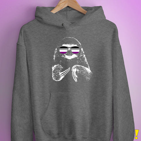Pride Sloth Asexual Flag Sunglasses Hoodie - Grey Heather